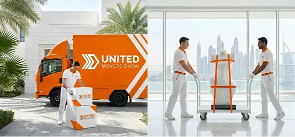 Area-Based Moving Services