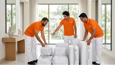 Luggage Movers