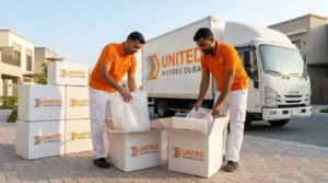 Furniture Movers vs Movers and Packers Dubai